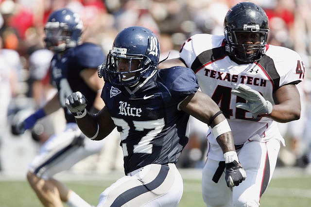 在专业领域 在专业领域